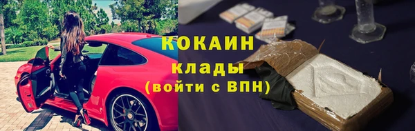 твердый Белокуриха