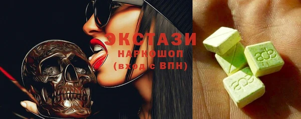 индика Снежногорск