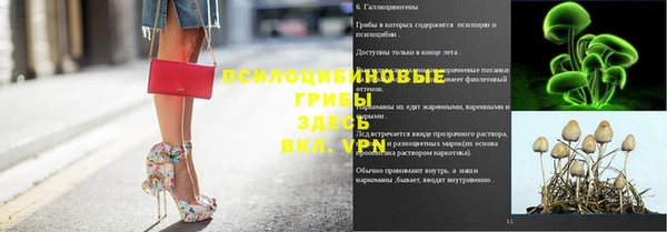твердый Белокуриха