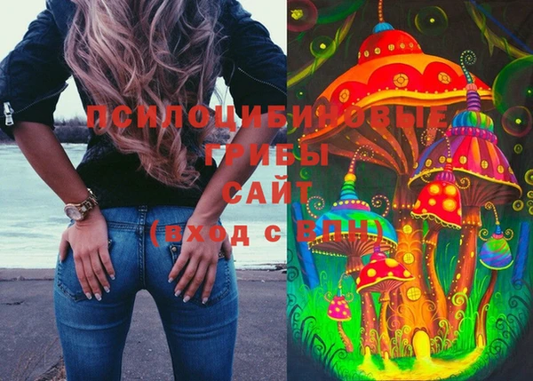 твердый Белокуриха