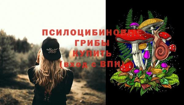 амф Беломорск