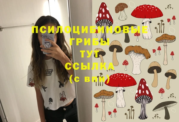 твердый Белокуриха