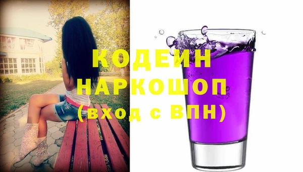 индика Снежногорск