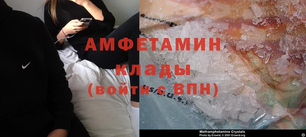 индика Снежногорск