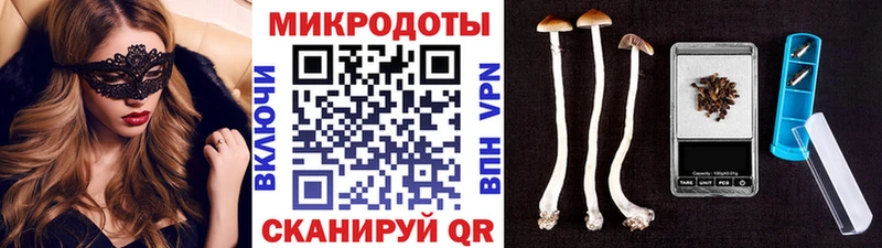 что такое   Облучье  Псилоцибиновые грибы Psilocybe 